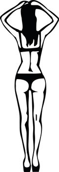 Woman silhouette in lingerie. Vector illustration