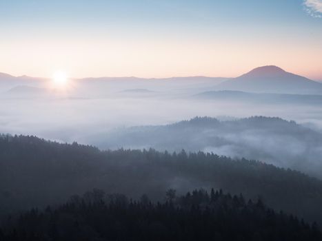 Autumn tree tops in the fog. Autumn colorful background with colorful trees. Misty background picture layout of a sad autumn landscape 