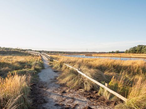 Swampy coastline with grassy dunes. Natural and wooden walk pier over water. Natarual park at Prerow, Germany. 