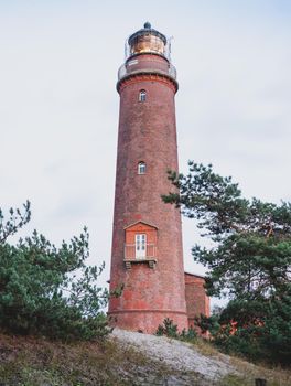 Natureum Darsser Ort near Prerow a museum. Nature park at Baltic Sea, National park Western Pomerania, north Germany