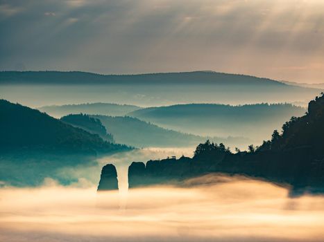 Exposed rocks and forest hills within early morning hours with fog. Cold blue misty world in deep valley of German mountain park