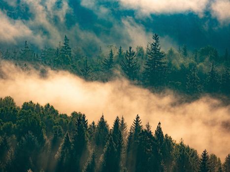 Aerial view over misty forest with haze at sunrise and hills. Sunrise over horizon.