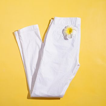 Summer and vacation concept. White summer jeans with plumeria flower on yellow background. Mock up design