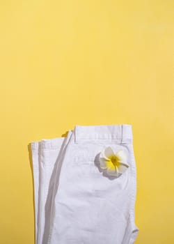 Summer and vacation concept. White summer jeans with plumeria flower on yellow background