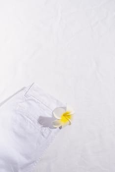 Summer and vacation concept. White summer jeans with plumeria flower on white background. Mock up design