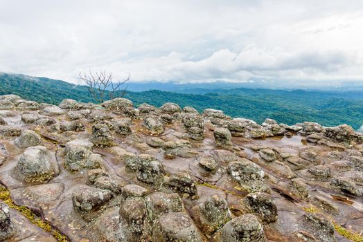 Beautiful nature landscape of green forests on Lan Hin Pum viewpoint with strange stone shapes caused by erosion is a famous nature attractions of Phu Hin Rong Kla National Park, Phitsanulok, Thailand