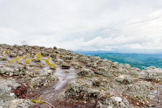 Beautiful nature landscape of green forests on Lan Hin Pum viewpoint with strange stone shapes caused by erosion is a famous nature attractions of Phu Hin Rong Kla National Park, Phitsanulok, Thailand