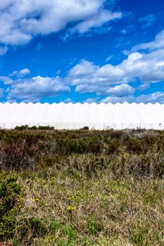 Salinas and vegetation under blue sky in Santa Pola, Alicante, Spain