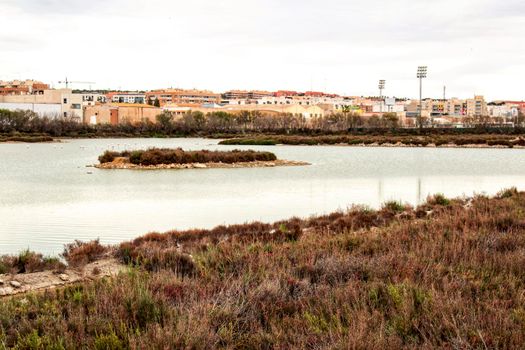 Wetlands of Santa Pola on a cloudy day of winter. Santa Pola in the background