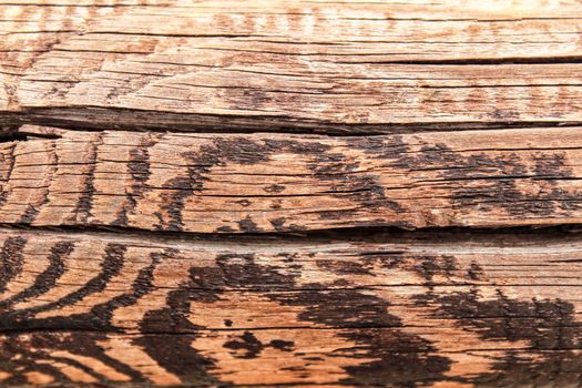 Brown wooden and veined texture under the sun