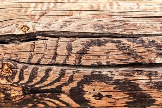Brown wooden and veined texture under the sun