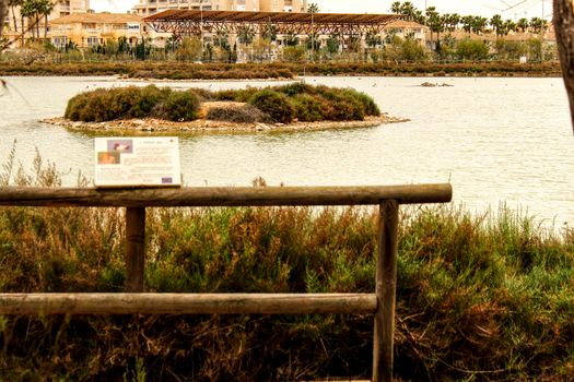 Wetlands of Santa Pola on a cloudy day of winter. Santa Pola in the background