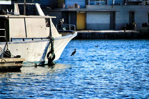 Fishing Boats moored in the port of Santa Pola, Alicante. Spain.