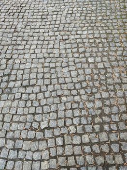 Background of the sidewalk tiles covered with dried leaves