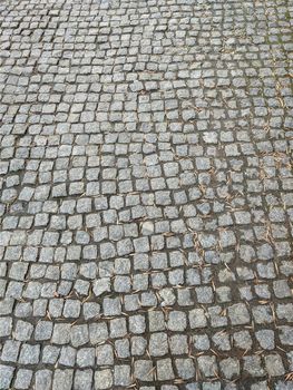 Background of the sidewalk tiles covered with dried leaves