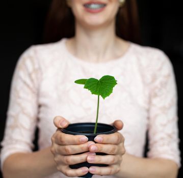 The girl is holding a black pot with a green plant on a dark background. Seedlings of cucumbers in a pot, ready for planting in the ground. Environmental protection. Respect for nature