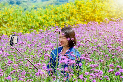 Woman tourist are taking selfie with smartphone in purple flower field of Verbena Bonariensis or Purpletop Vervain under the sunlight at Khao Kho, Phetchabun, Thailand