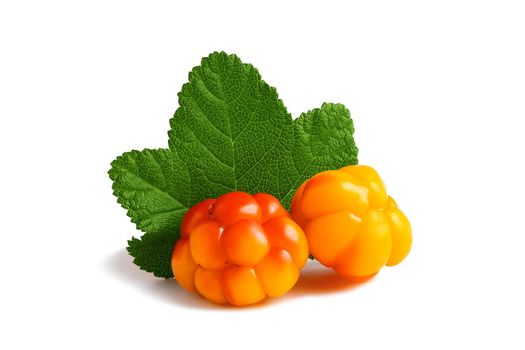 Two cloudberries with a leaf isolated on a white background with clipping path with and without shadow.