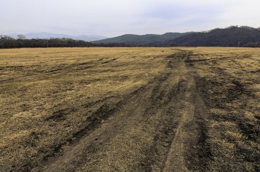 Tire marks in the field, detail of footprints in the field. car footprint.
