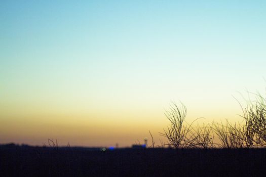 Sunset landscape with tree branches in silhouettes. Feeling of peace and tranquility