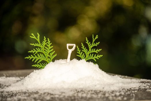 Decorative snow with toy shovel and green leaves for Christmass tree immitation.
