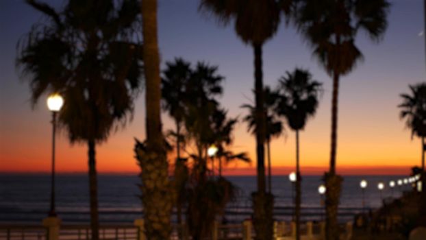 Blurred palms silhouette, twilight sky, California USA, Oceanside pier. Dusk gloaming nightfall atmosphere. Tropical pacific ocean beach, sunset afterglow aesthetic. Dark palm tree, Los Angeles vibes.