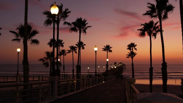 Palms silhouette on twilight sky, California USA, Oceanside pier. Dusk gloaming nightfall atmosphere. Tropical pacific ocean beach, sunset afterglow aesthetic. Dark black palm tree, Los Angeles vibes.