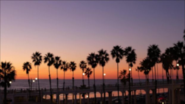 Blurred palms silhouette, twilight sky, California USA, Oceanside pier. Dusk gloaming nightfall atmosphere. Tropical pacific ocean beach, sunset afterglow aesthetic. Dark palm tree, Los Angeles vibes.