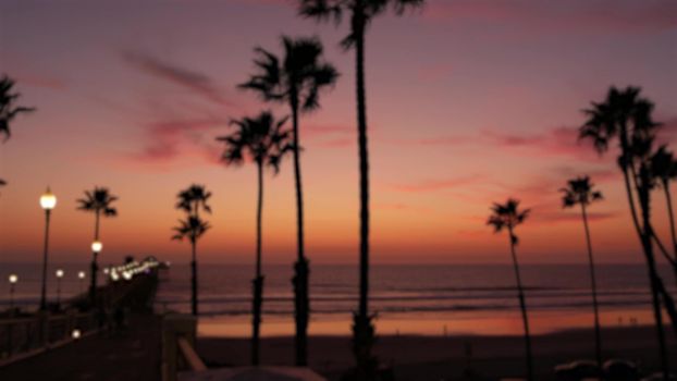 Blurred palms silhouette, twilight sky, California USA, Oceanside pier. Dusk gloaming nightfall atmosphere. Tropical pacific ocean beach, sunset afterglow aesthetic. Dark palm tree, Los Angeles vibes.