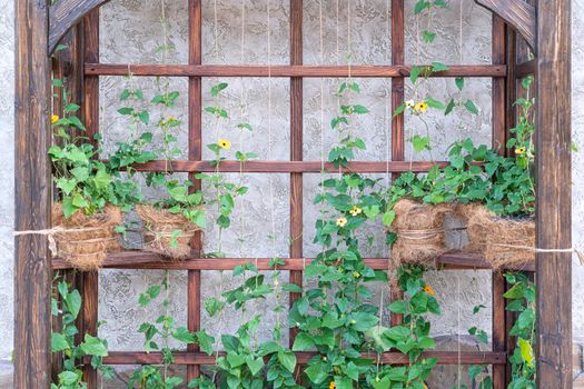 wooden flower girl with flowers close up as background. High quality photo