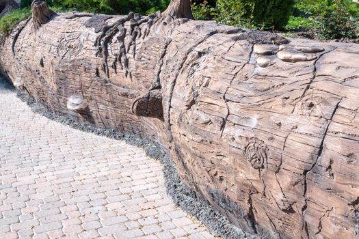 a huge tree trunk lying on the ground. High quality photo