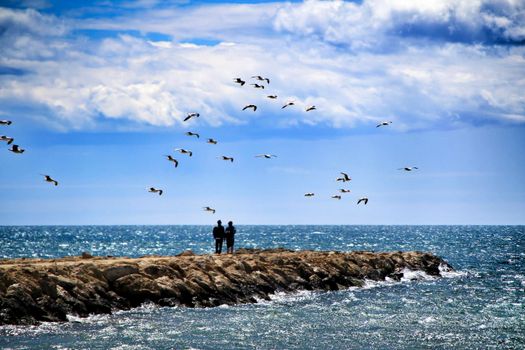 Walking day surrounded by seagulls on a breakwater under the sun in Santa Pola, Spain