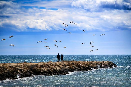 Walking day surrounded by seagulls on a breakwater under the sun in Santa Pola, Spain