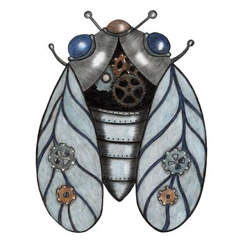 Design Element Hand Drawn Illustration of Colorful Steampunk Cicada in Gray Colors Isolated on White Background. Steampunk Cicada Drawn by Color Pencils.