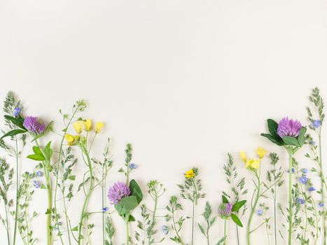 Mix of wildflowers on a beige background with copy space.