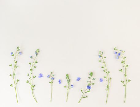 Wildflowers on a beige background with copy space.