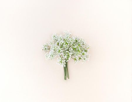 Bouquet from white wildflowers on a beige background.