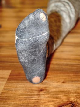 Worn out socks with holes and toes sticking out of them on old wooden floor 