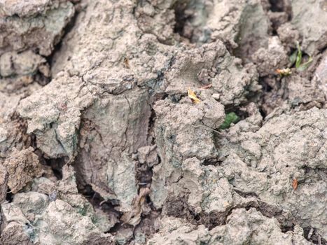 Cracked mud suitable as background and symbol of arid climate and climate change