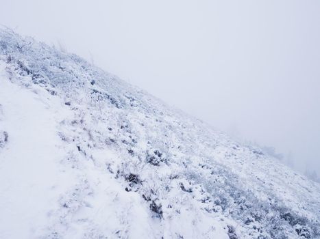 Brash hillside. extreme terrain with fresh powder snow, path hidden in heavy fog. Misty winter day