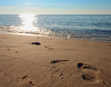 Natural footprints in beach sand. Traces on beach by smooth sea, coastline in summer 