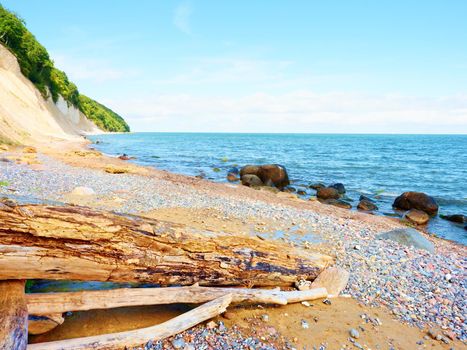 Blue sky above sea water level. Lonely fallen tree on empty stony coastline. Death tree.