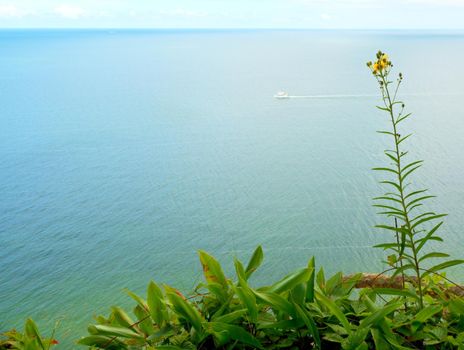 Grass straw on view point above sea level. Grass stalks in blossom, blue water level in contrast.