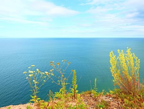 Grass straw on view point above sea level. Grass stalks in blossom, blue water level in contrast.