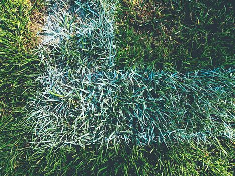 Field corner of outdoor football playground, natural grass turfs