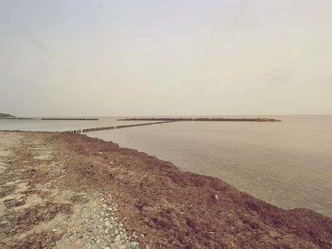 Wooden breakwaters on a shore of the Baltic Sea with a sun hidden in low clouds. Smooth water level after storm.