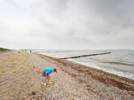 Blond boy on beach looking for shells.  Long stony beach with wooden breakwaters to protect a coast  from the force of sea waves.