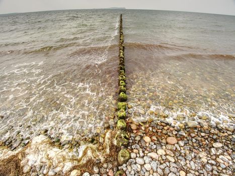 Old wooden breakwaters on a shore of Baltic Sea. White foamy water splashing stones on beach.