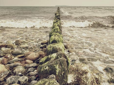 Wooden breakwater in wavy Baltic Sea. Evening at smooth wavy sea. Pink horizon with low clouds