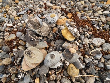 Sea stones for design. Abstract background with pebbles, detail